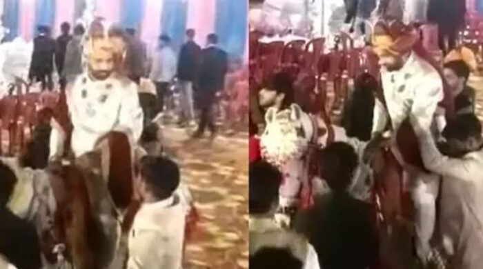 श्योपुर में शादी की खुशी अचानक गम में बदली,  दूल्हे की घोड़ी पर बैठे-बैठे संदिग्ध परिस्थितियों में मौत हो गई