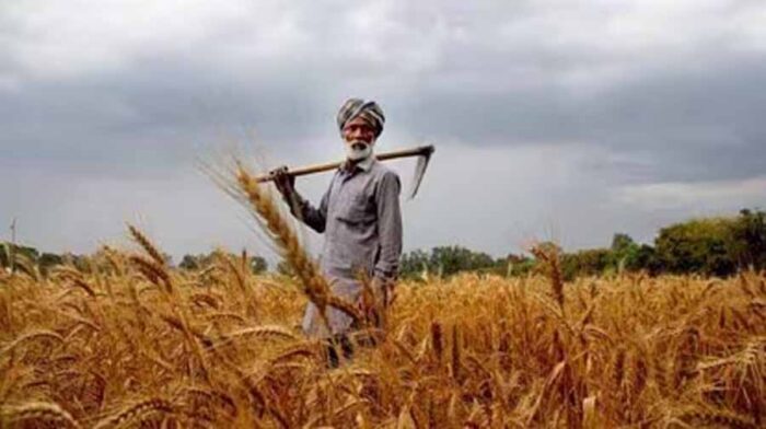 एग्रीस्टेक के तहत किसानों का यूनिक आईडी, भूमि रिकार्ड, फसल और बीमा का होगा रिकार्ड