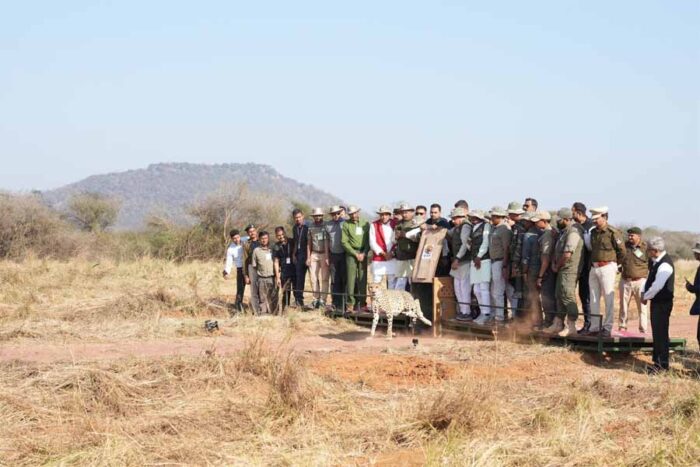 कूनो के खुले जंगल में मुख्यमंत्री डॉ. मोहन यादव ने 2 मादा चीता के साथ 3 शावकों को किए रिलीज