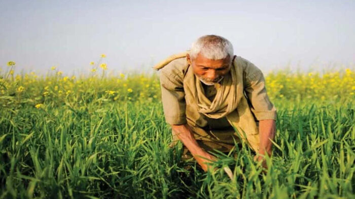 मुख्यमंत्री डॉ. मोहन यादव के नेतृत्व में राज्य सरकार किसानों के कल्याण एवं समस्याओं के निराकरण के लिये प्रतिबद्ध