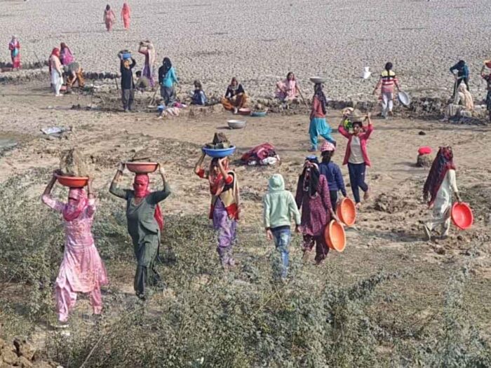 कैथल में मनरेगा योजना में घोटाले पर प्रशासन सख्त, सीवन ब्लॉक की एबीपीओ और जेई बर्खास्त