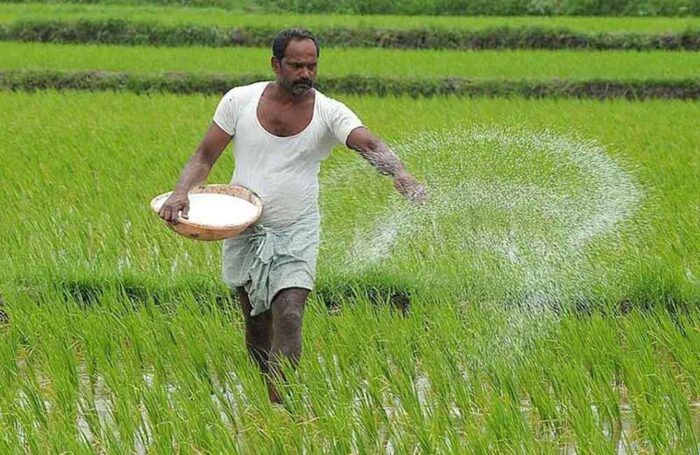 हरियाणा सरकार की मुख्यमंत्री बागवानी बीमा योजना उनकी समस्याओं का समाधान कर रही है: कृषि मंत्री