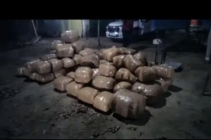 छत्तीसगढ़ में एक करोड़ कीमत का 500 किलो गांजा जब्त: कंटेनर में टेप में लिपटे मिले कई पैकेट