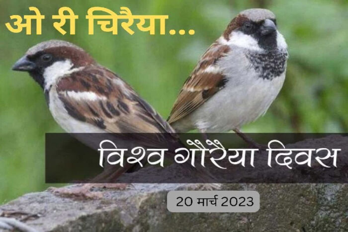 मुख्यमंत्री डॉ. यादव ने विश्व गौरैया दिवस पर पक्षियों के संरक्षण के लिए किया आह्वान