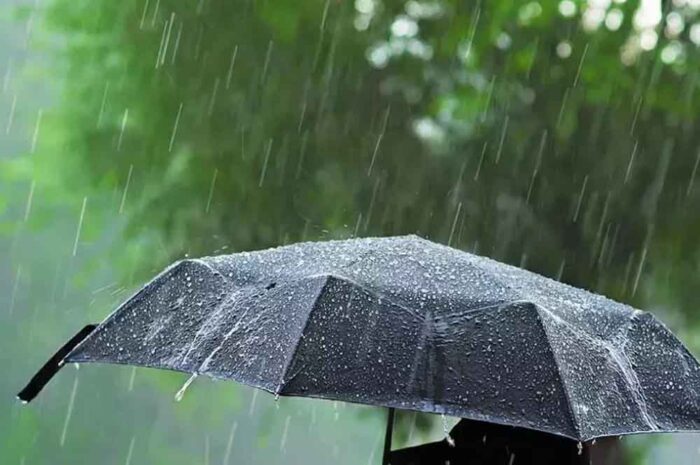 24 घंटे में दिल्ली और यूपी में करवट लेगा मौसम, बिहार में आने वाला तूफान, गेहूं किसानों की बढ़ेगी टेंशन,