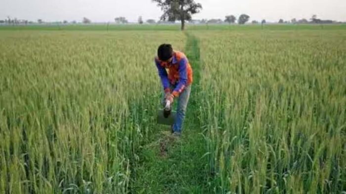 प्रदेश में 27 लाख 71 हजार 676 ऐसे किसान हैं, जो आज के दिन कर्जदार हैं, 60 हजार करोड़ का कर्जा