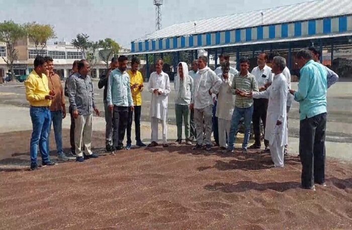 जिले में 13 दिन बाद सरसों की सरकारी खरीद शुरू, किसानों ने ली राहत का सांस