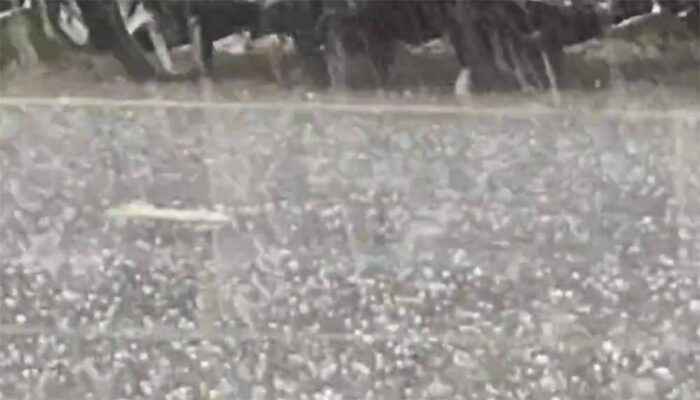 कोंडागांव में 40 मिनट तक लगातार गिरे ओले
