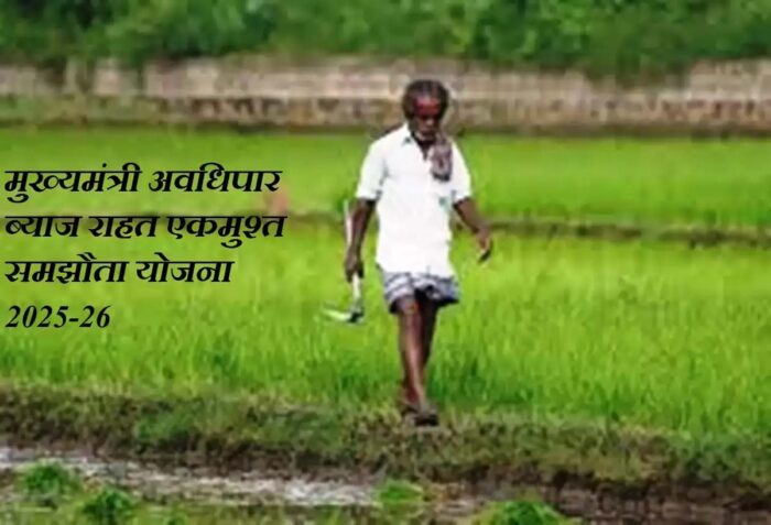 राजस्थान मे किसानों को बड़ी राहत, कर्ज पर ब्याज पूरी तरह माफ, जानिए किन्हें मिलेगा सीधा लाभ