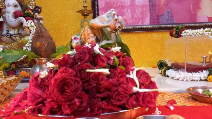 हनुमान जन्मोत्सव पर जरूर करें तुलसी का दान, जीवन में होंगे चमत्कारिक फायदे