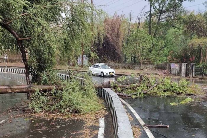 एमपी में एक साथ तीन सिस्टम एक्टिव, 45 जिलों में गरज-चमक के साथ आंधी बारिश का अलर्ट
