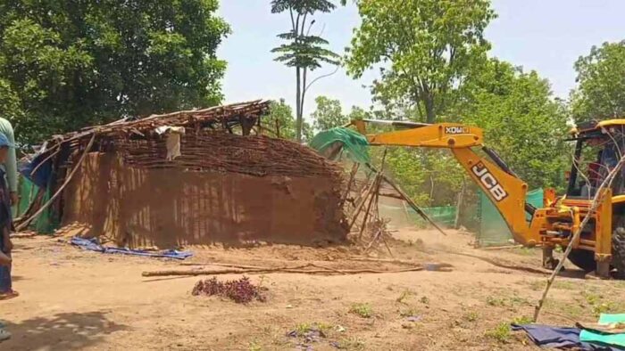 29 लोगों ने हजारों पेड़ काटकर वन भूमि पर किया कब्जा, चला बुलडोजर