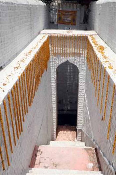 एक पेड़ मां के नाम अभियान में चिंतामण गणेश मंदिर परिसर में सिंदूर के पौधे का रोपण किया