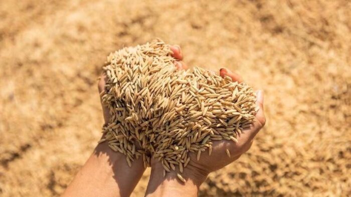 छत्तीसगढ़ ने धान खरीद में ‘डेटा-संचालित मॉडल’ से एआई तकनीक का प्रभावी इस्तेमाल किया