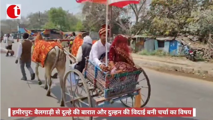 हमीरपुर: बैलगाड़ी से दूल्हे की बरात और दुल्हन की विदाई बनी चर्चा का विषय