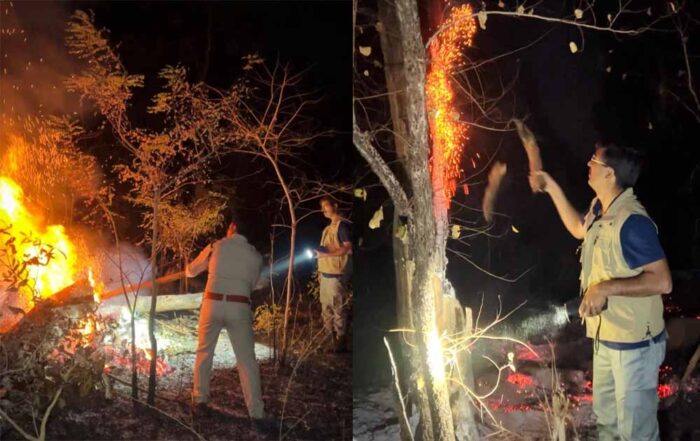 त्योहार पर भी कर्तव्य निभाते रहे वनकर्मी, होली पर जंगलों की सुरक्षा में तैनात