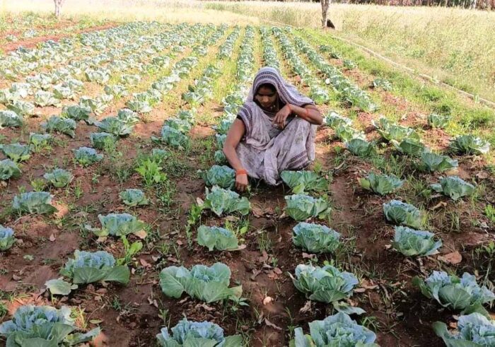 सब्जी उत्पादन से आरती की सालाना आय पहुँची 1.13 लाख