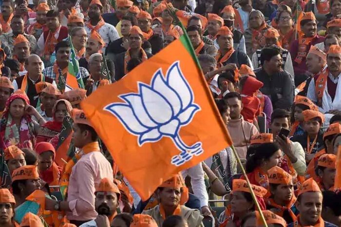 राज्यसभा चुनाव का असर संगठन पर भी? MP के कई दिग्गजों को राष्ट्रीय टीम में मिल सकता है बड़ा रोल