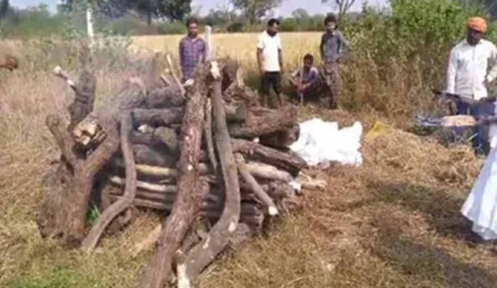 परंपरा तोड़ मिसाल पेश की बेटियों ने, बागेश्वर में परिवार को किया सम्मानित