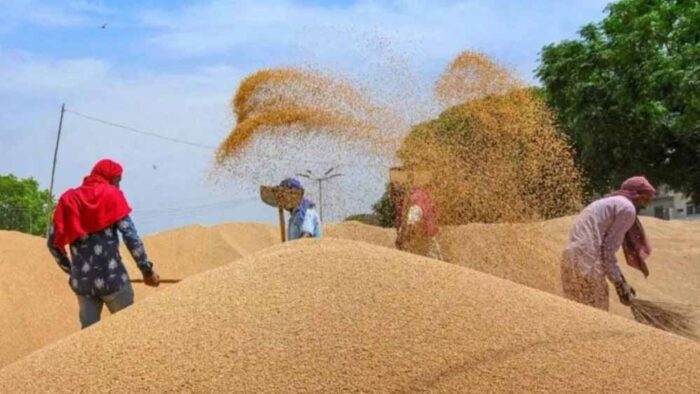 किसानों के लिए खुशखबरी: हरियाणा में रबी फसलों की खरीद शुरू, MSP के अनुसार भुगतान होगा