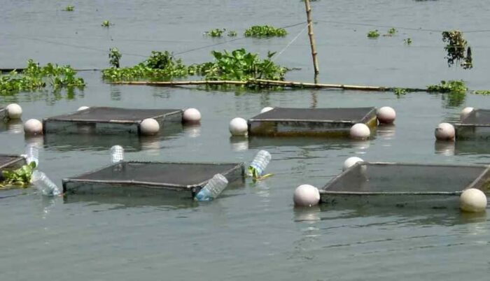 अम्बिकापुर : मत्स्य पालन हेतु जलाशयों का 10 वर्षीय लीज आबंटन के लिए आवेदन आमंत्रित