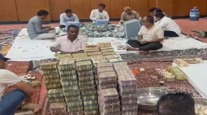 सांवलिया सेठ मंदिर में चढ़ावा रिकॉर्ड तोड़, अब मोरपंख पर लगी पाबंदी