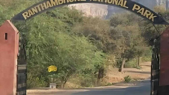 टाइगर सफारी फर्जीवाड़ा: रणथंभौर में गाइडों पर सख्ती, वनकर्मी पर नरमी से विवाद