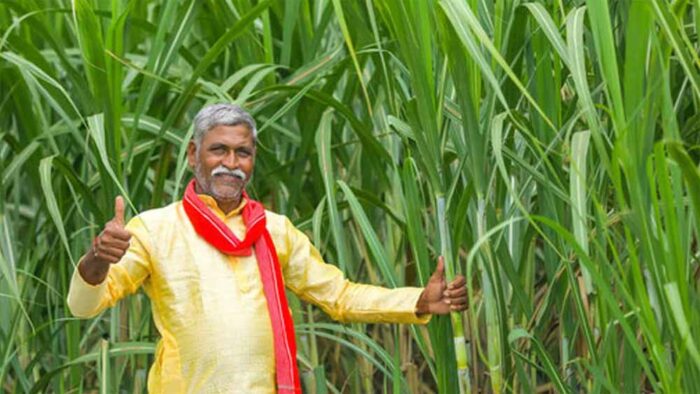 गन्ना किसानों को 3 लाख 15 हजार करोड़ रुपये का रिकॉर्ड भुगतान मिला योगी सरकार में: सूर्य प्रताप शाही