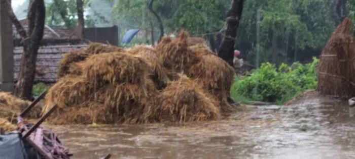 पेड़ और पोल गिरने से जनजीवन प्रभावित, बिजली-ट्रेन सेवाएं बाधित
