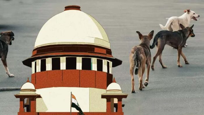 Stray Dogs मामले में SC का बड़ा फैसला, बच्चों और मरीजों की सुरक्षा को दी प्राथमिकता