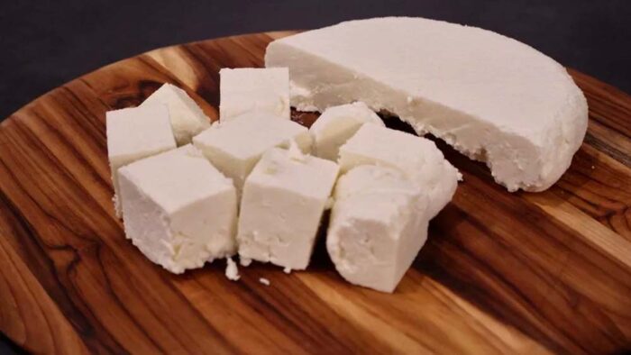 Camel Milk से तैयार हुआ खास पनीर, बीकानेर वैज्ञानिकों की रिसर्च ने बढ़ाई उम्मीदें