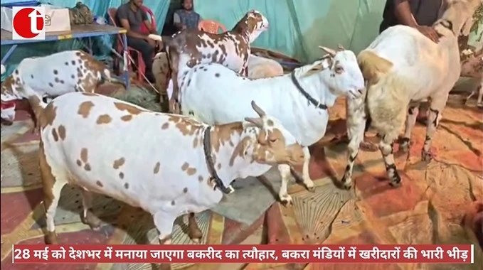 28 मई को देशभर में मनाया जाएगा बकरीद का त्यौहार, बकरा मंडियों में खरीदारों की भारी भीड़