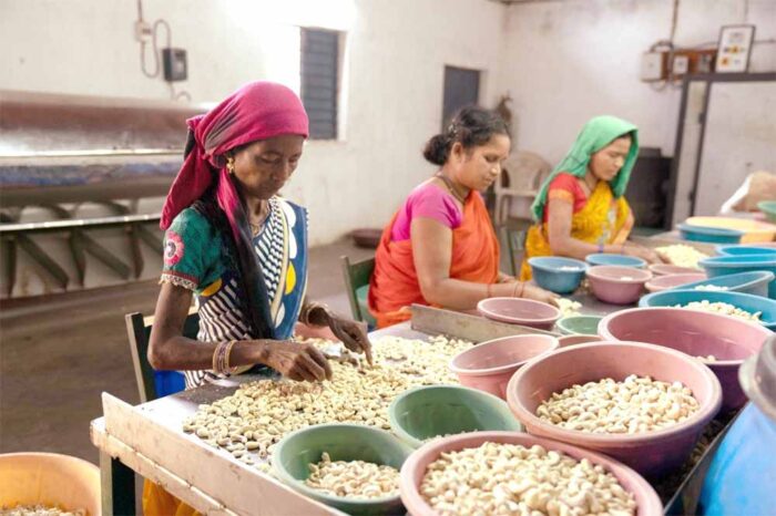 लघु वनोपज प्रसंस्करण से हजारों महिलाओं को मिला सम्मानजनक रोजगार और आय का स्थायी जरिया