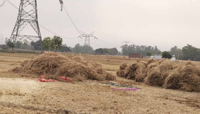 तूफानी रात से बेहाल मुक्तसर: अंधेरे में गुजरी रात, मंडियों में भीगा अनाज