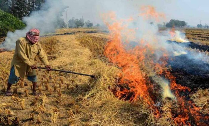 पराली पर कंट्रोल की तैयारी: फरीदकोट प्रशासन ने जारी किए नए निर्देश, सख्त निगरानी होगी
