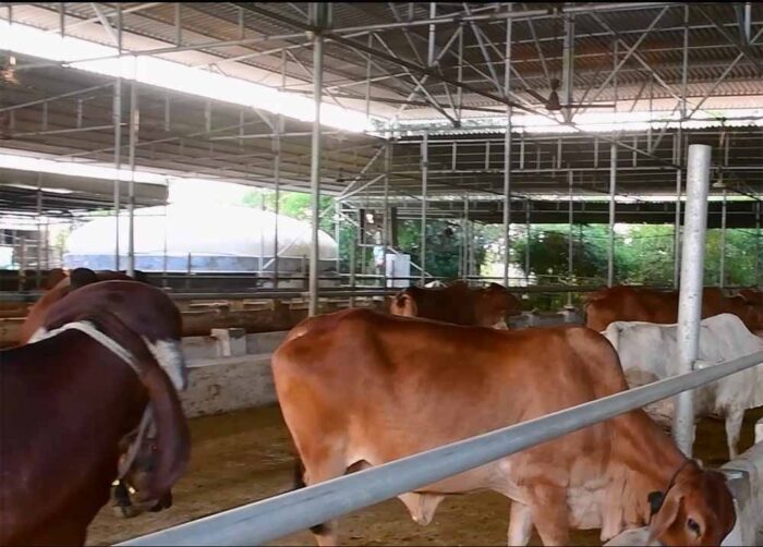 स्वर्णिम दुग्धामृत संवाद समागम के जरिए किसानों/गोपालकों से किया जा रहा संवाद