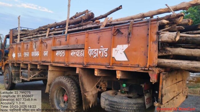 वन विभाग की सख्ती: गौरेला क्षेत्र में अवैध सागौन कटाई पर कार्रवाई