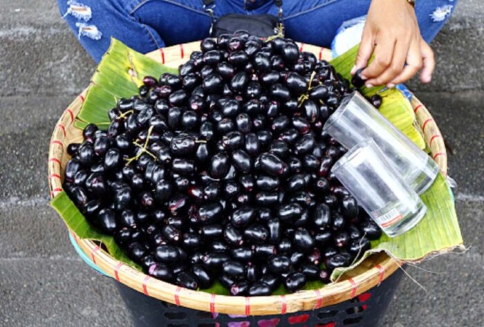 मानसून स्पेशल: कम समय के लिए मिलने वाला जामुन सेहत के लिए क्यों है फायदेमंद