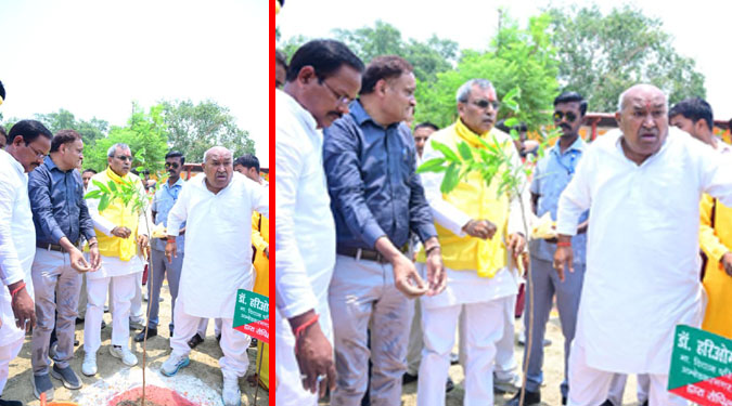 विश्व पर्यावरण दिवस पर प्रदेश की पंचायतों में 12 लाख से अधिक पौधों का रोपण, 54 हजार से अधिक स्थानों पर चला स्वच्छता अभियान