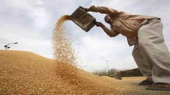 खरीदे गए गेहूं में पाई गई कमियों के कारणों की होगी विस्तृत पड़ताल