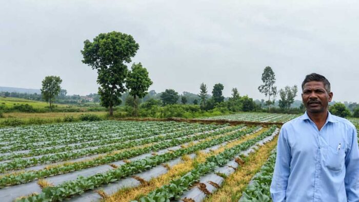 55 प्रतिशत अनुदान से स्थापित की ड्रिप सिंचाई प्रणाली, कम पानी में बढ़ा उत्पादन और आय