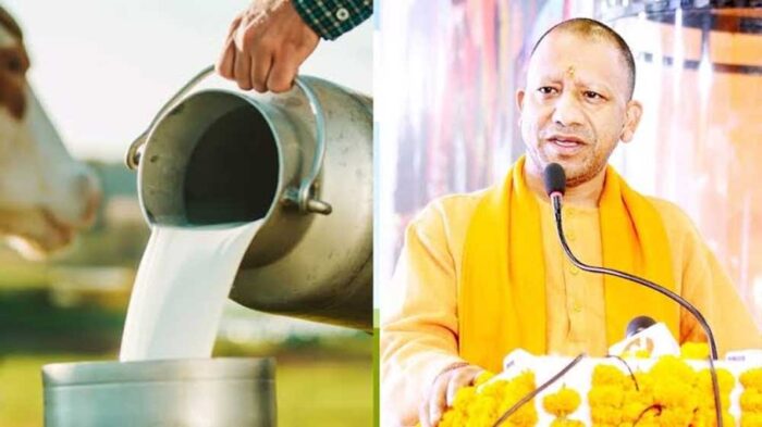 दुग्धशाला विकास विभाग की स्वर्ण जयंती बुधवार को